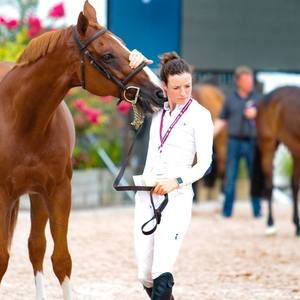 Meet your Posher, Sloane